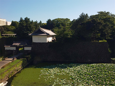 千代田開館4階からの写真1