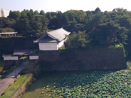 千代田開館8階からの写真3